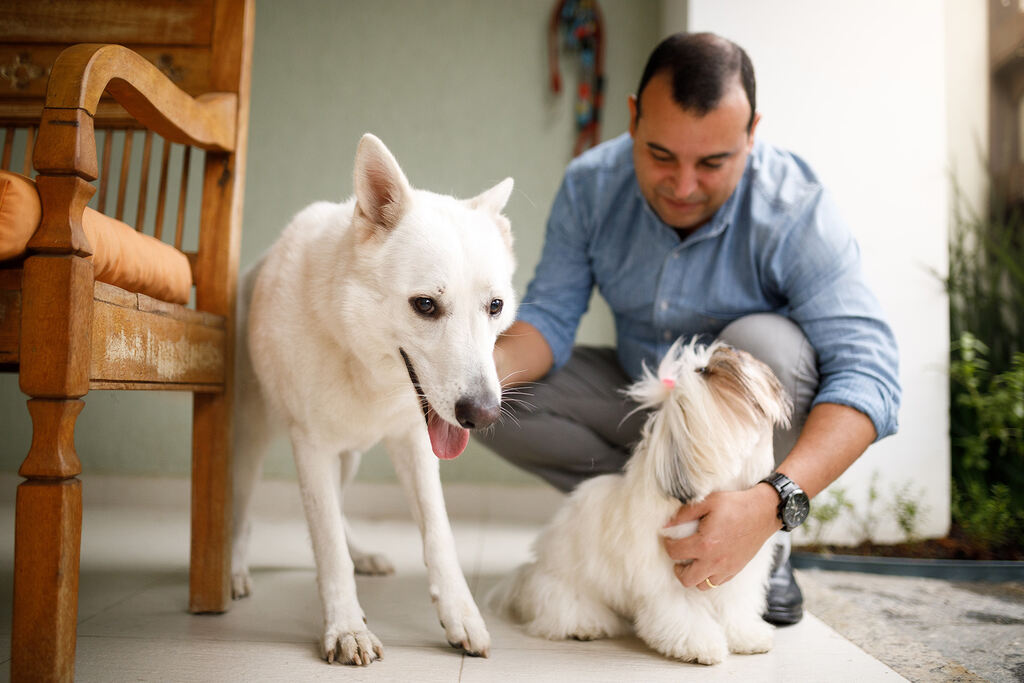 Como falar com um veterinário online grátis