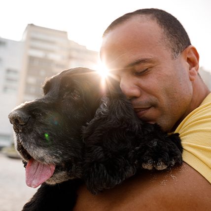 RJ petcare rio 407 2 1