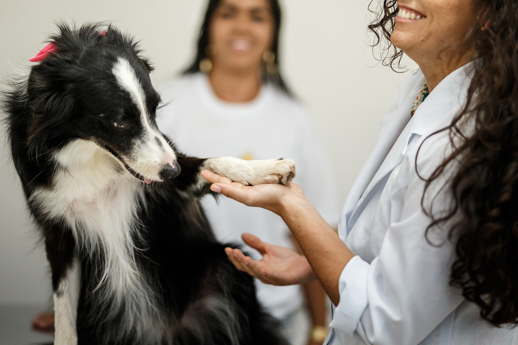 precos pet shop banho e tosa