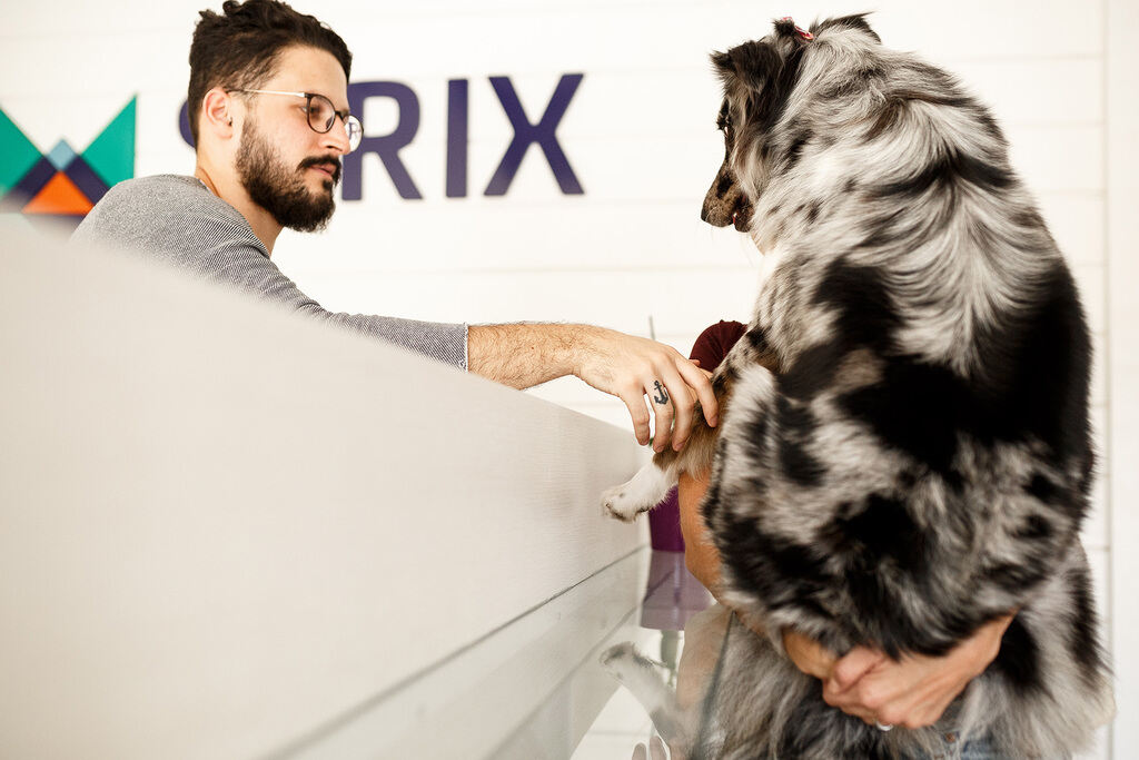 CRM para pet shop: funcionalidades, benefícios e como implementar 3 Pet aproveitando os benefícios proporcionados pelo uso do crm para pet shop