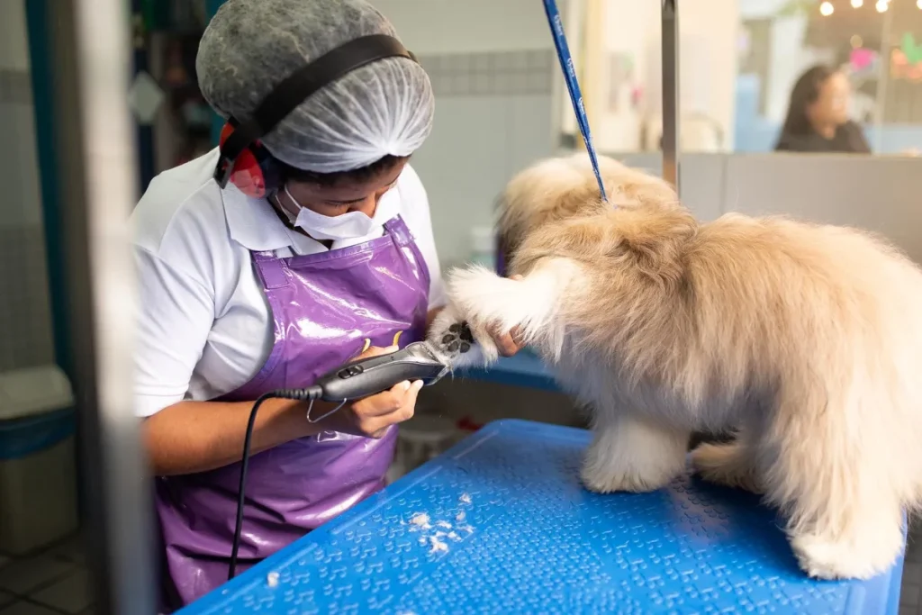 A experiência do cliente e sua importância competitiva em pet shops
