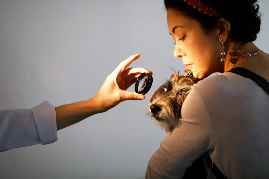 Tendências para pet shop