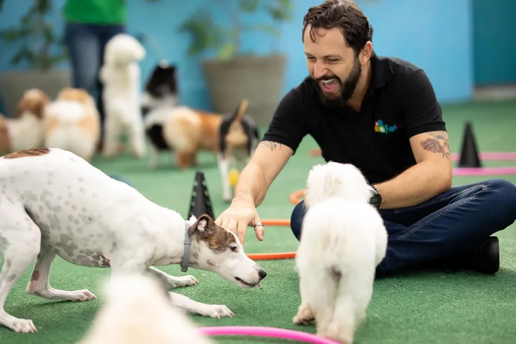 Tendências para pet shop