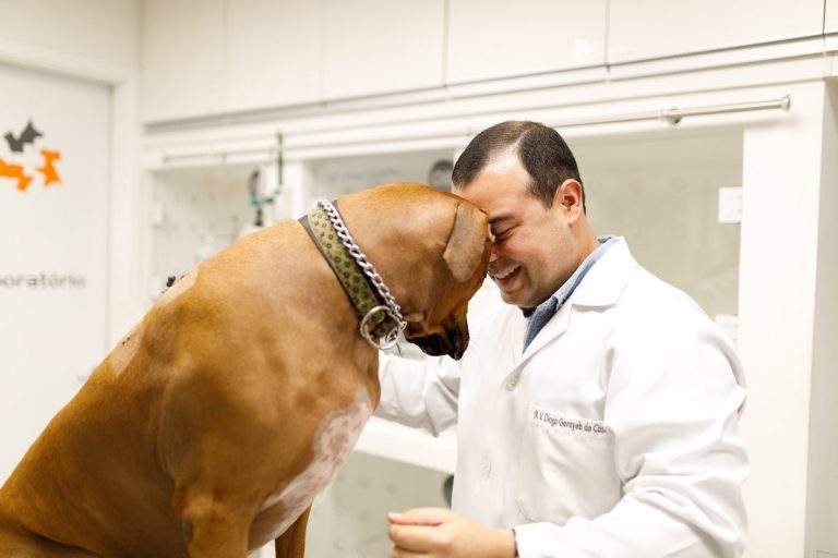 veterinário aplicando vacinas
