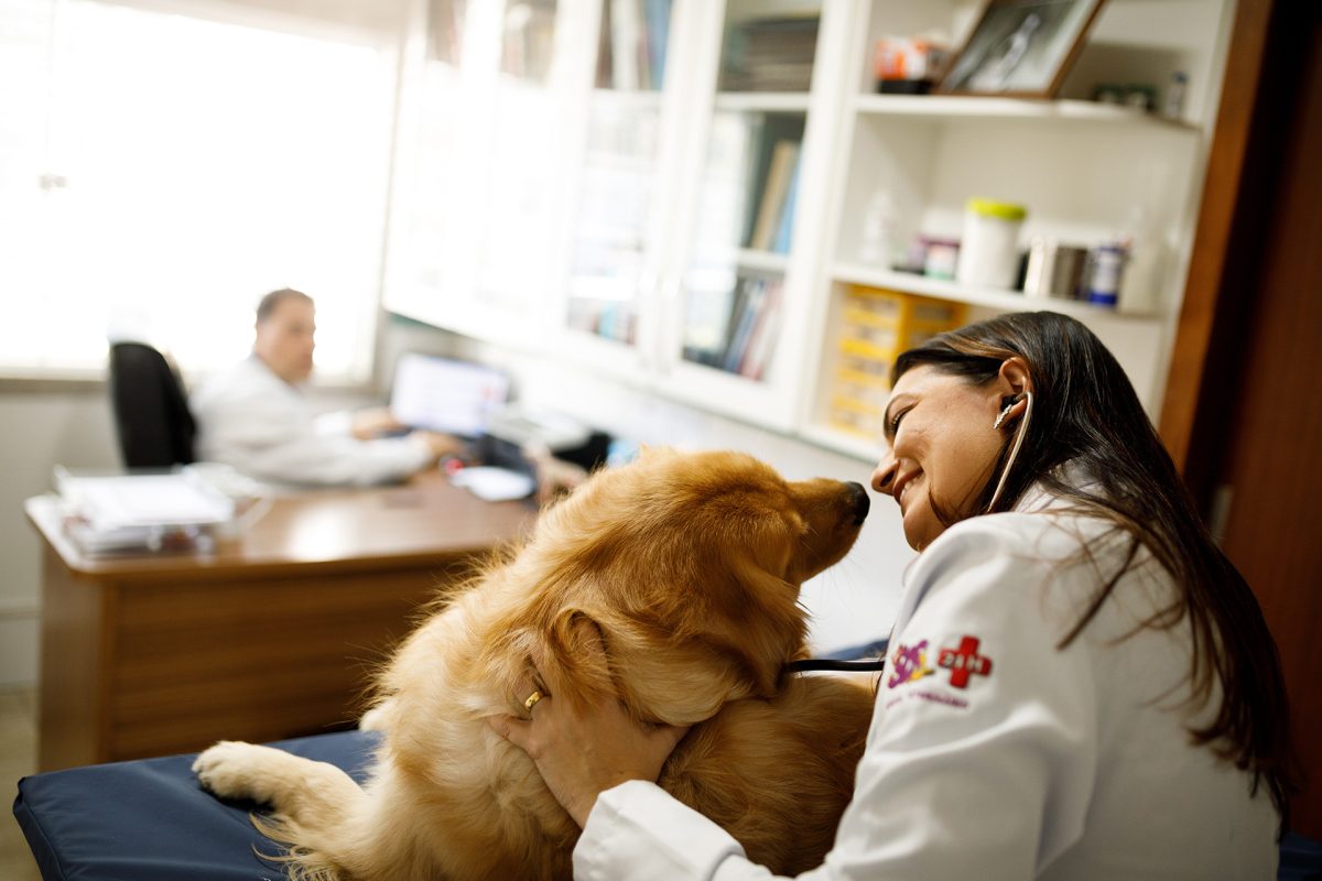 como fidelizar clientes em clínicas veterinárias