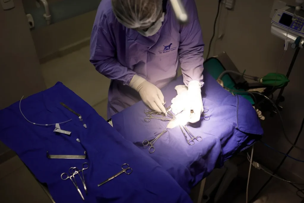 Eficiência no centro cirúrgico veterinário: como reduzir custos sem perder qualidade