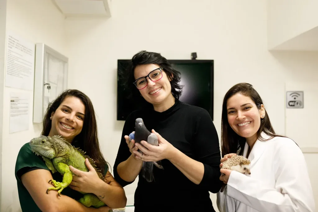 Anestesia veterinária e comunicação com o tutor