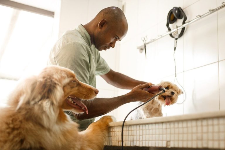 sistema para banho e tosa
