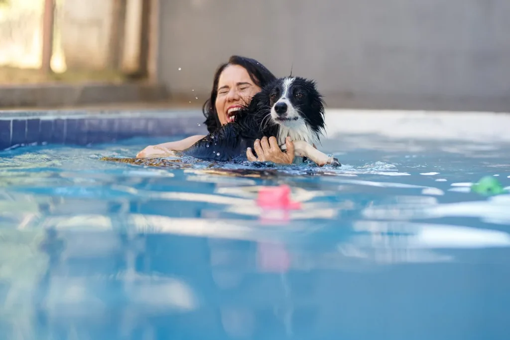Hotel pet e pet shops: como integrar serviços para aumentar a rentabilidade